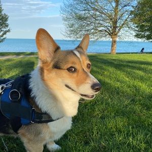 Meet your Posher, Andrew